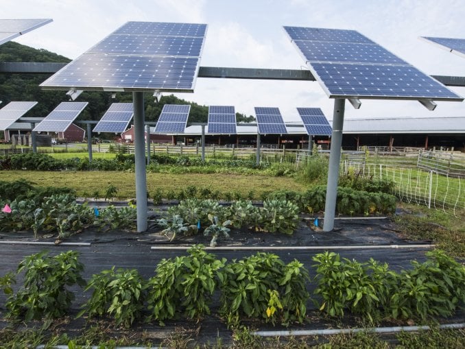 Agriculture Solar Plant